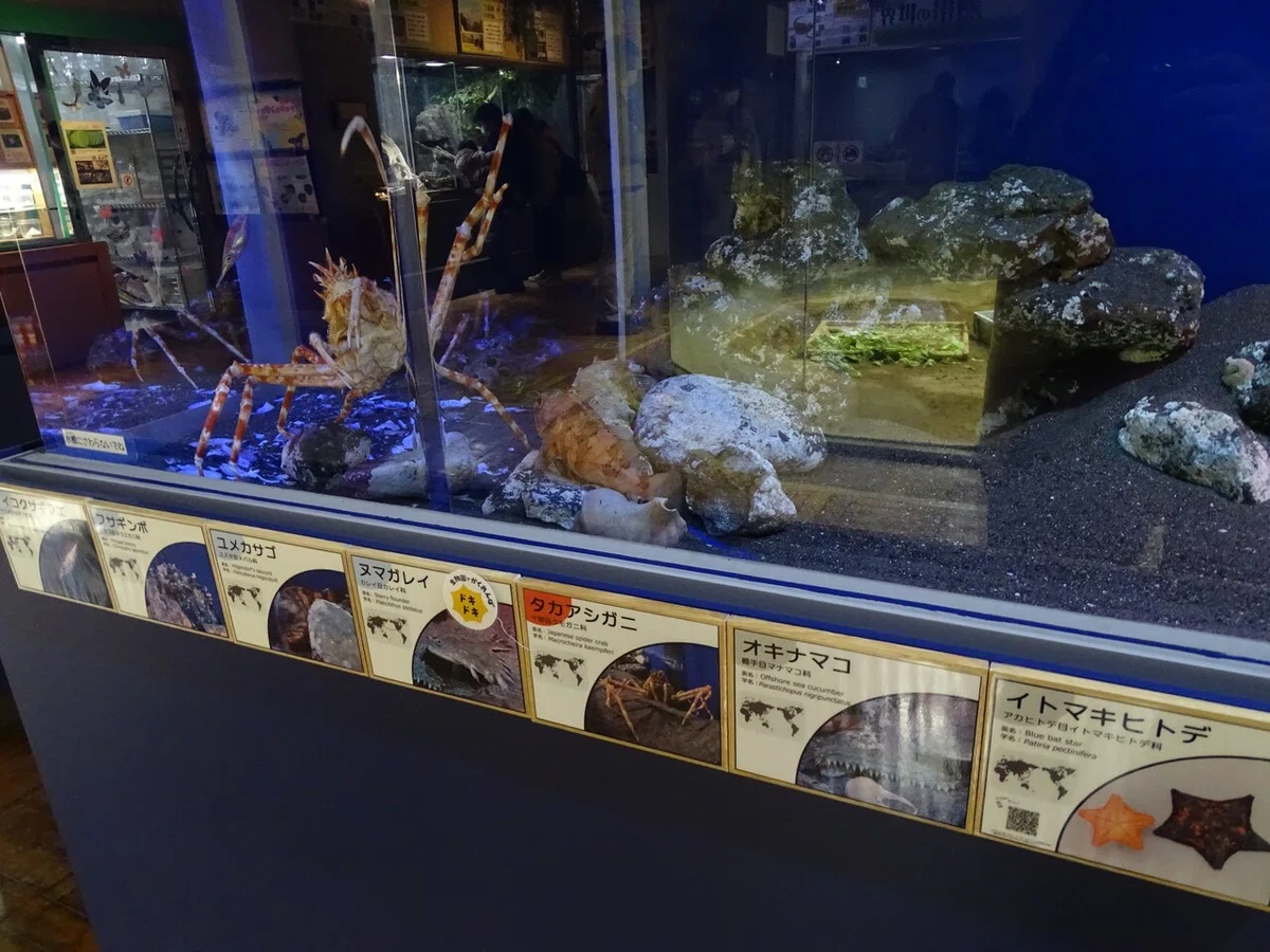 画像70