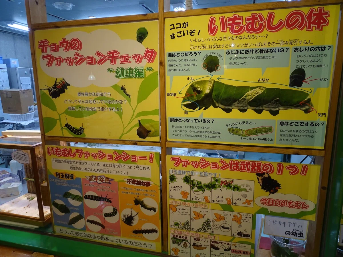 画像74