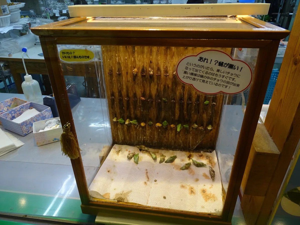 画像75
