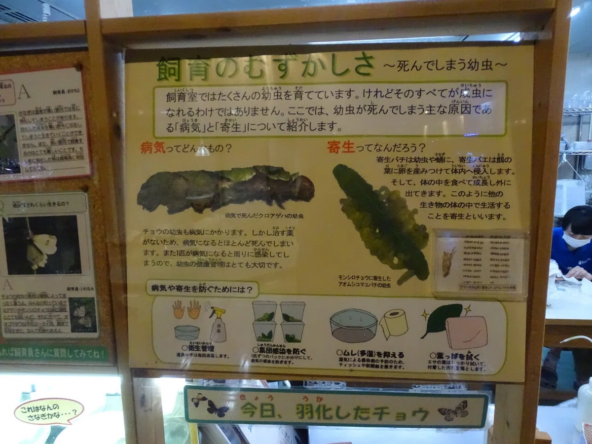 画像77