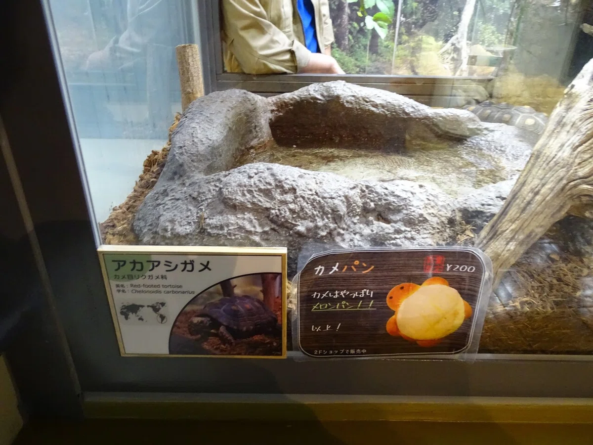 画像89