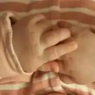 こめっこ。