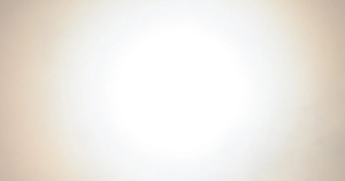 画像19