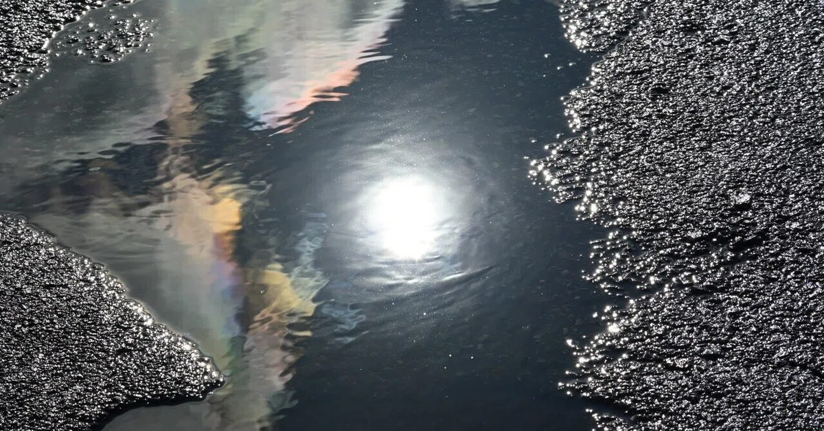 画像26