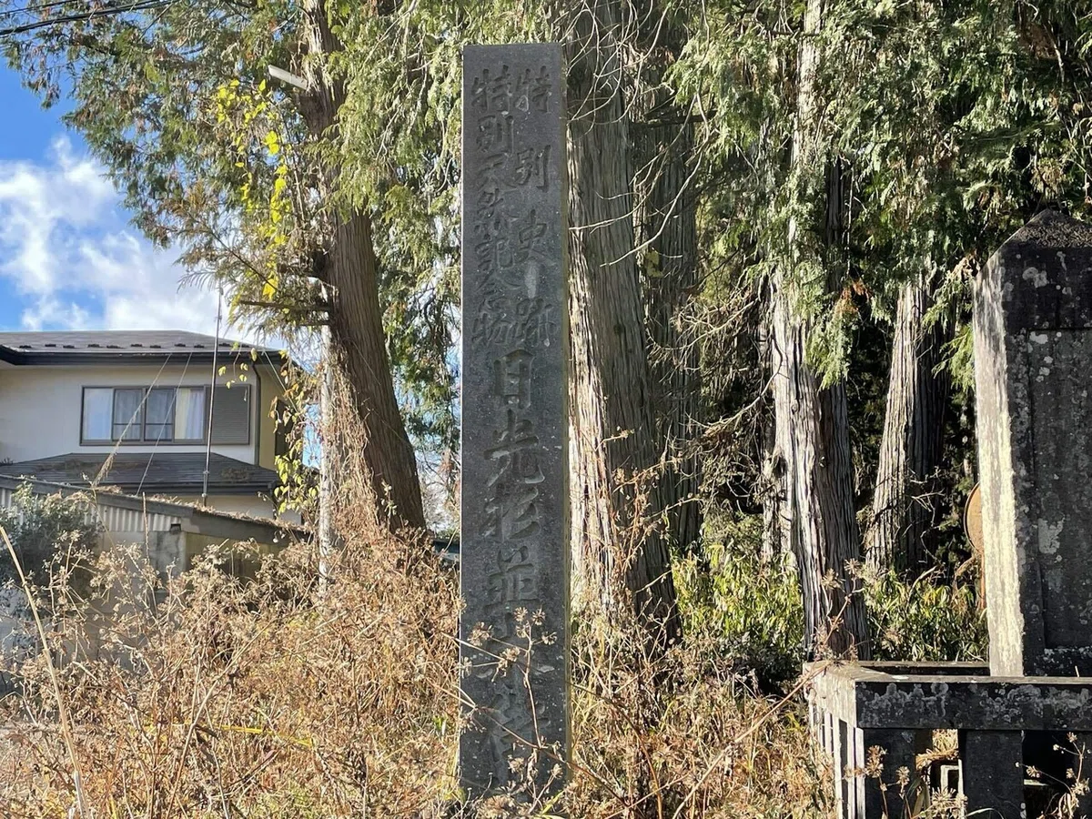 画像181