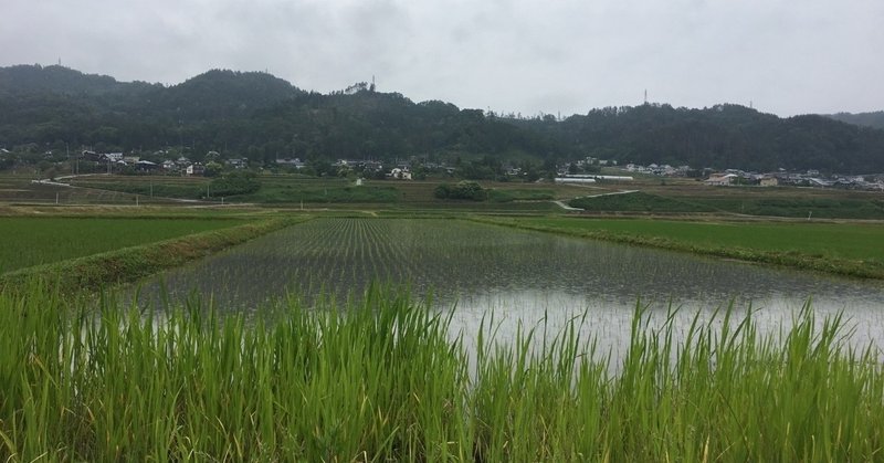 雨の安曇野