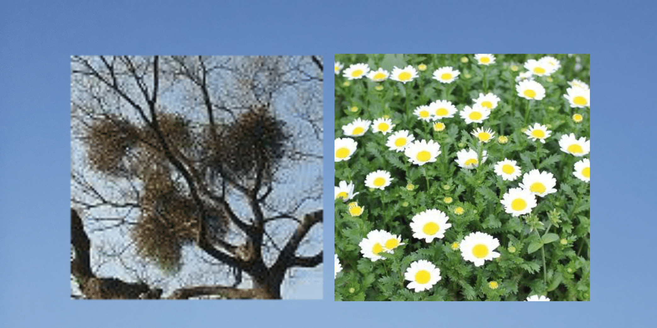 ドロシー ディックス の新着タグ記事一覧 Note つくる つながる とどける