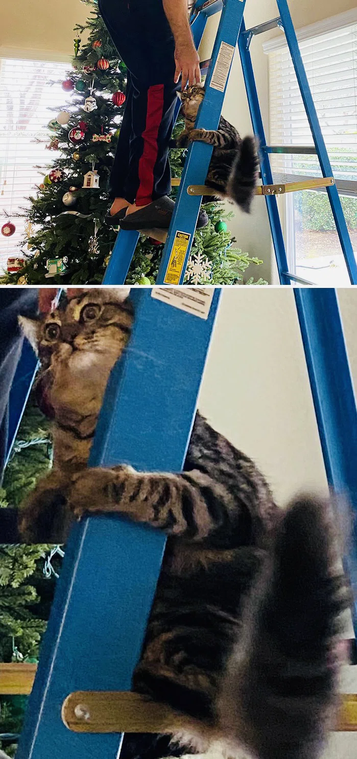 画像11