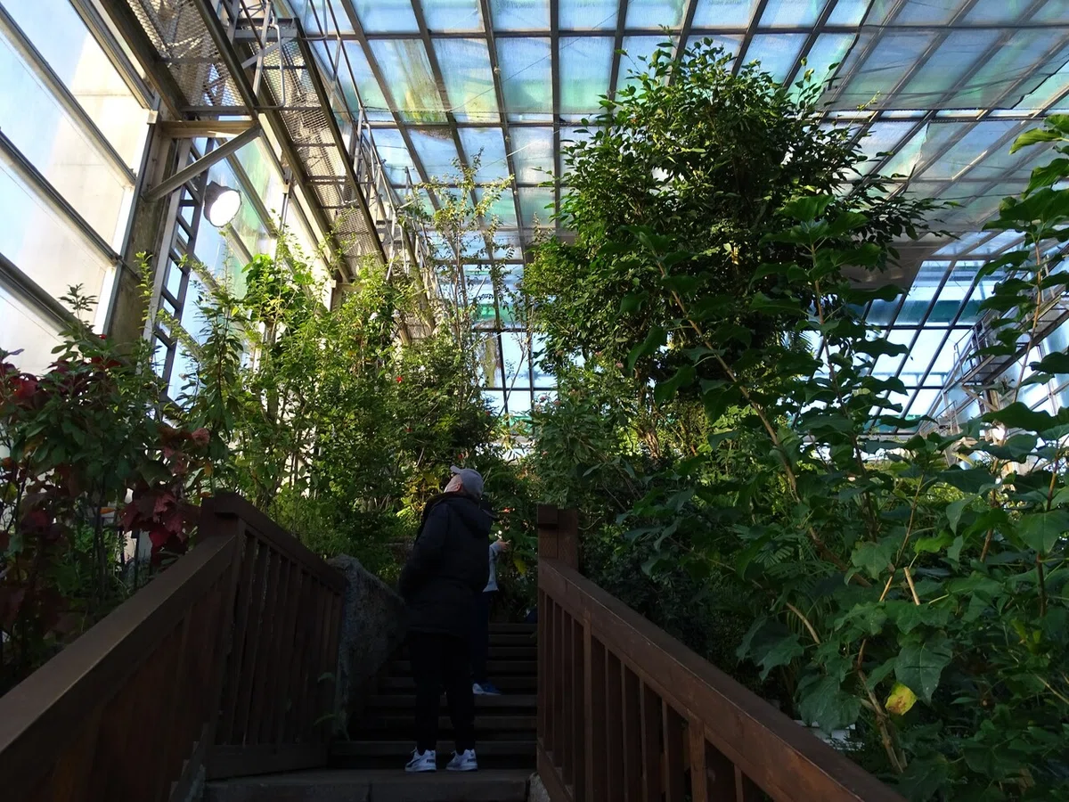 画像98