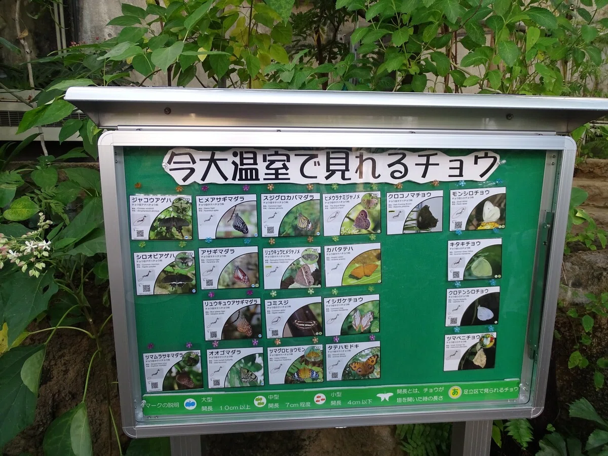 画像101
