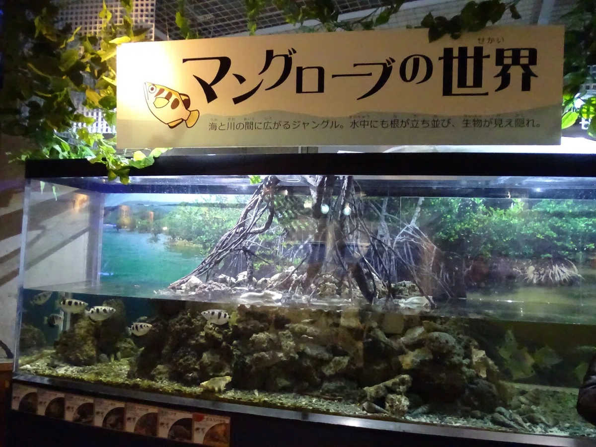 画像109