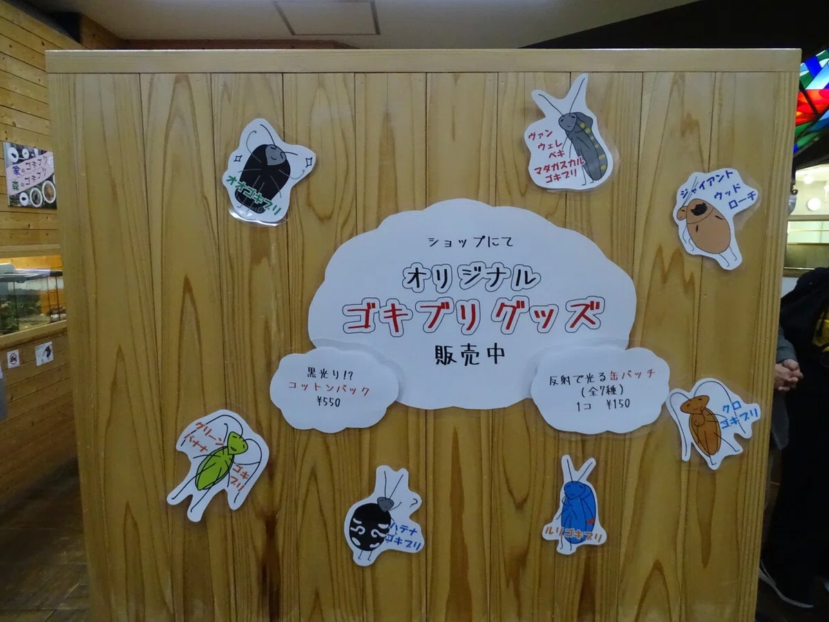 画像114