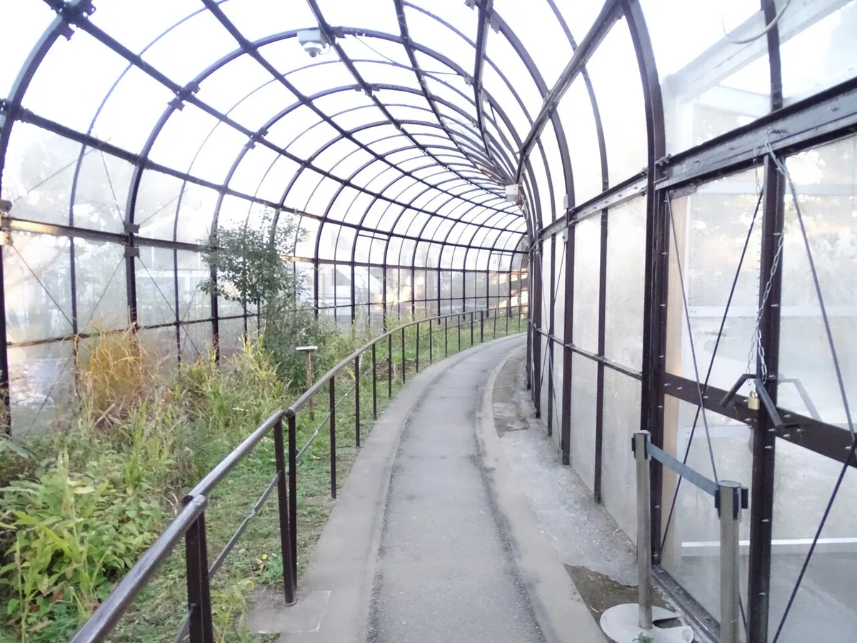 画像140