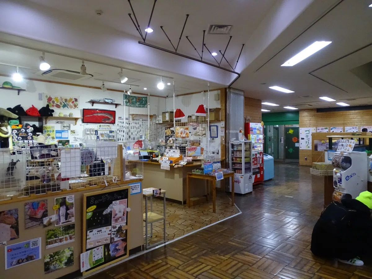 画像129