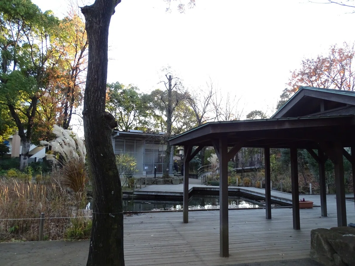 画像135