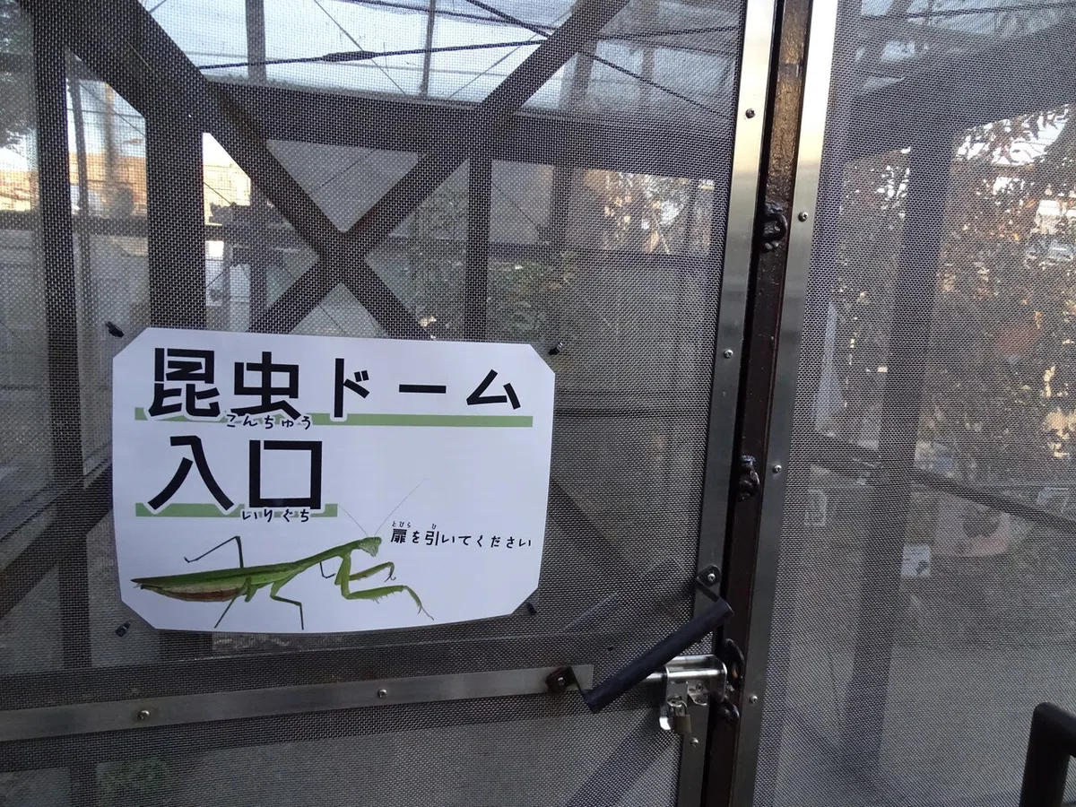 画像137