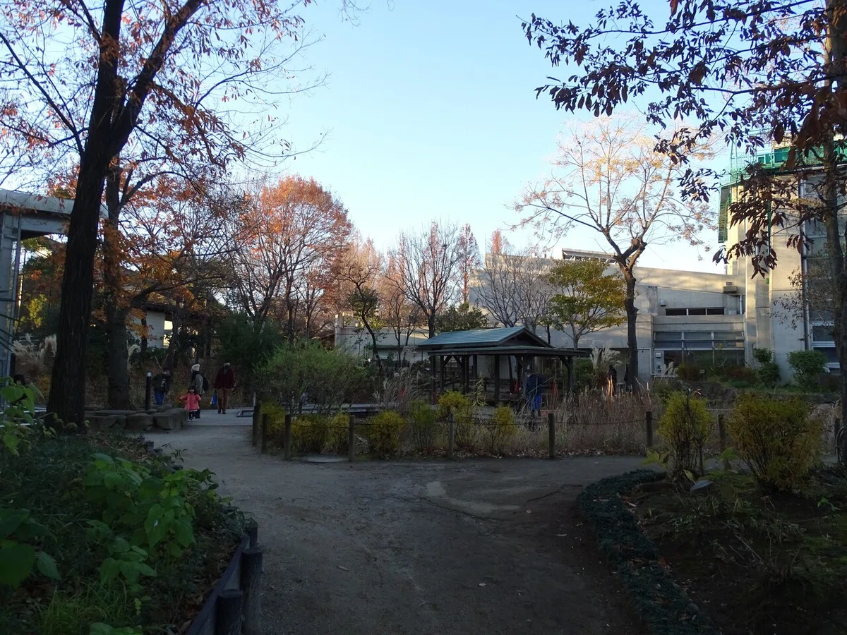 画像142