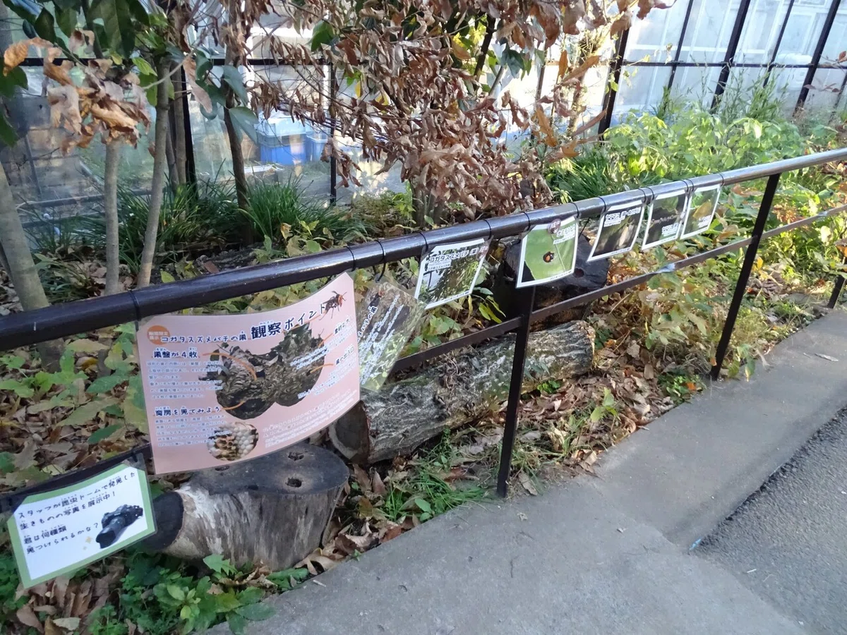 画像138
