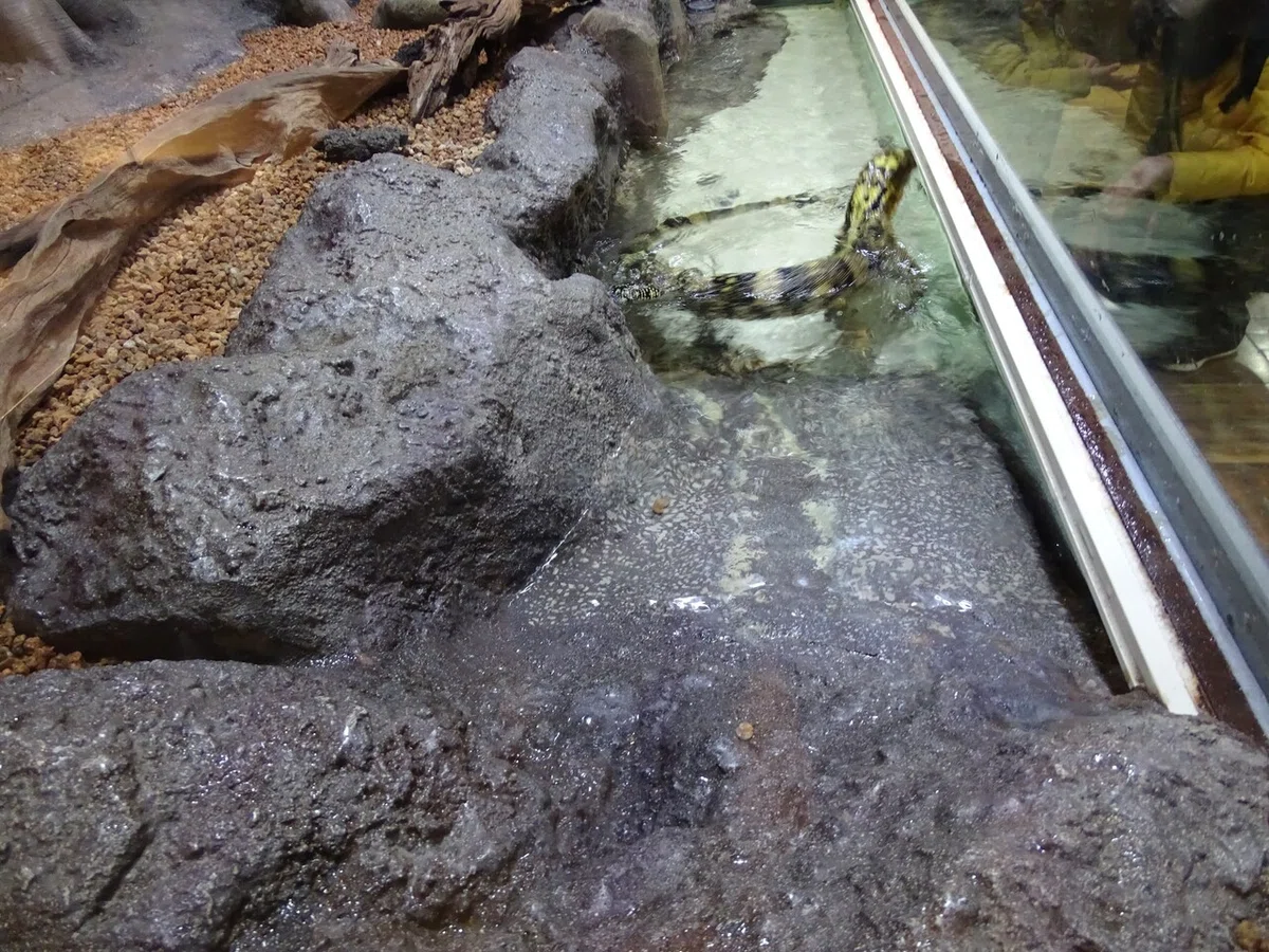 画像116