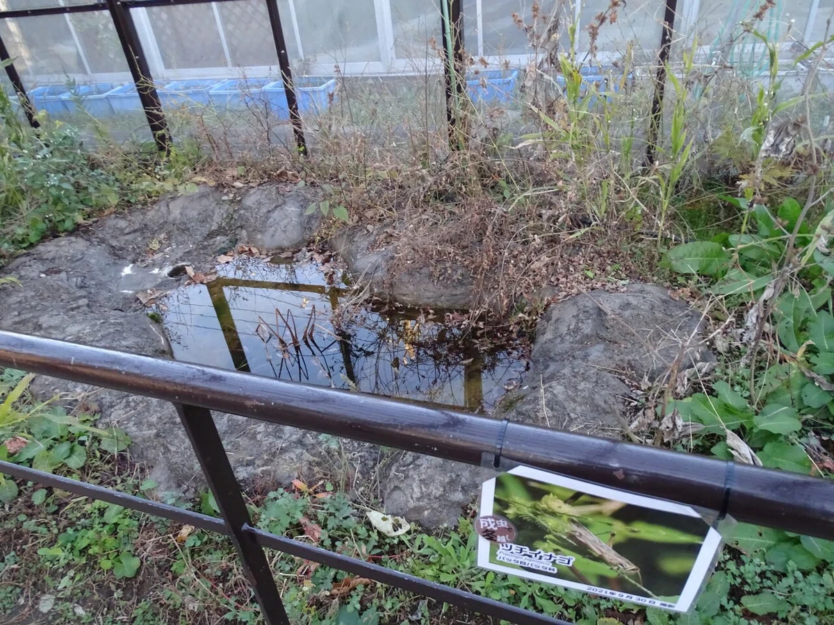画像139