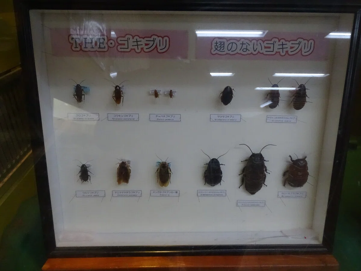画像168