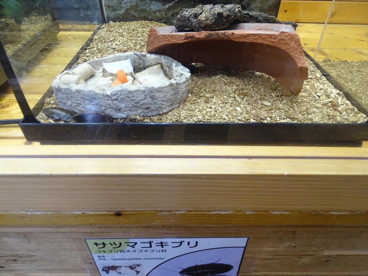 画像167