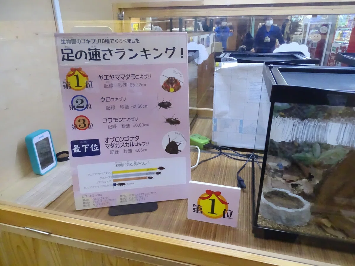 画像170