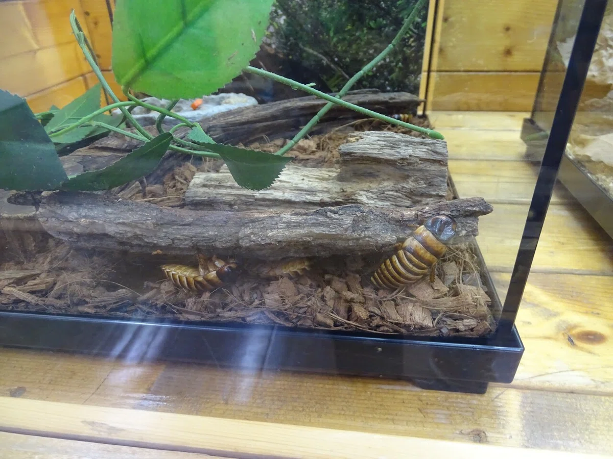 画像160