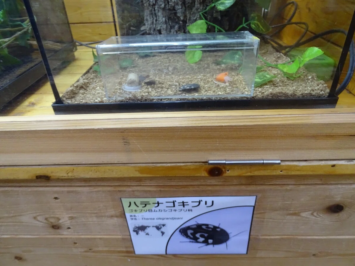 画像164