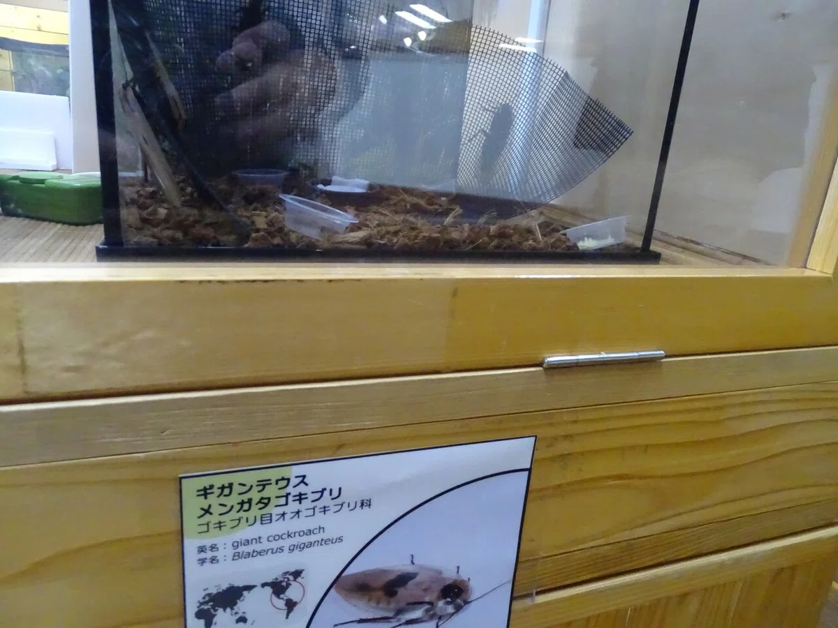 画像158