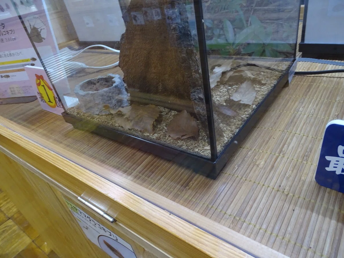 画像172