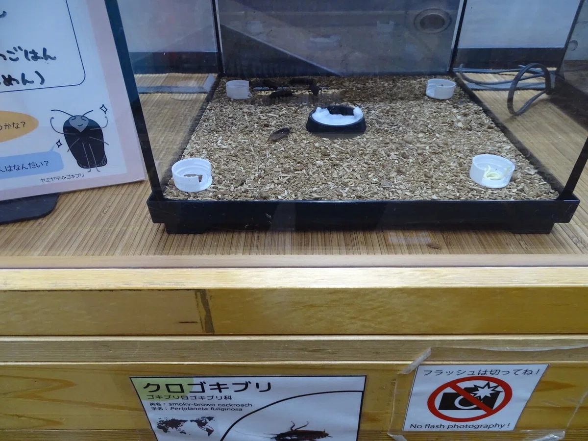 画像174