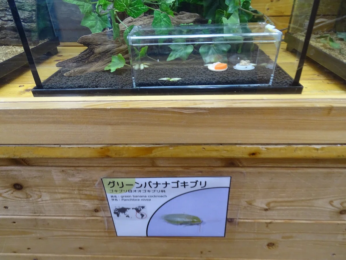 画像162