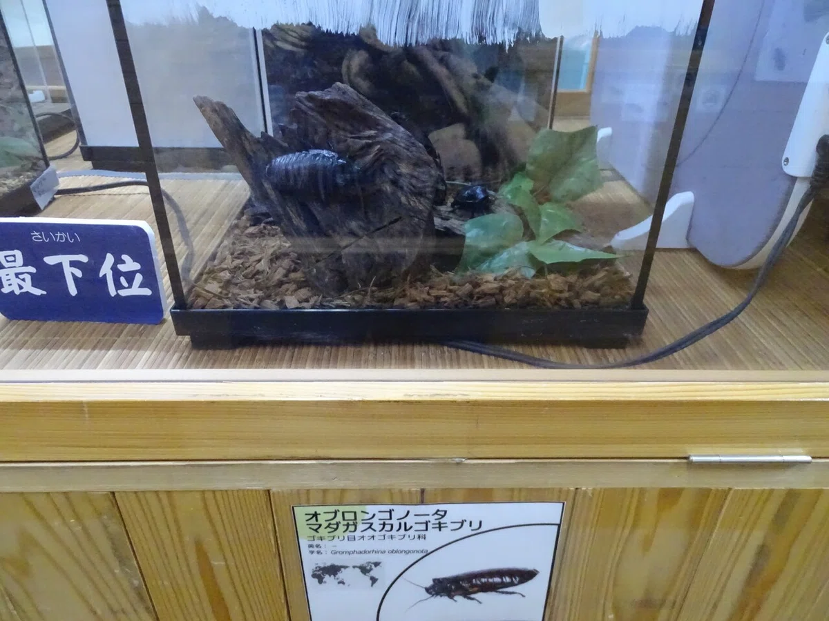 画像171