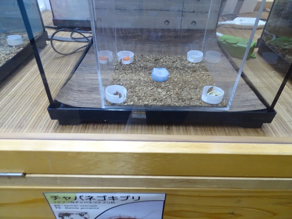 画像175