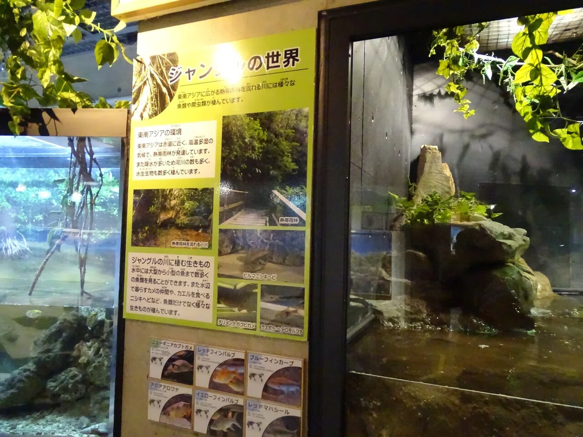 画像184