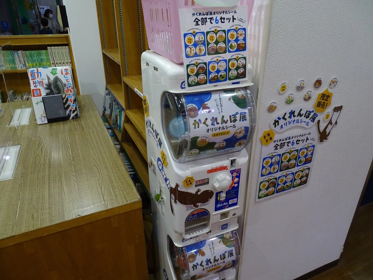 画像185