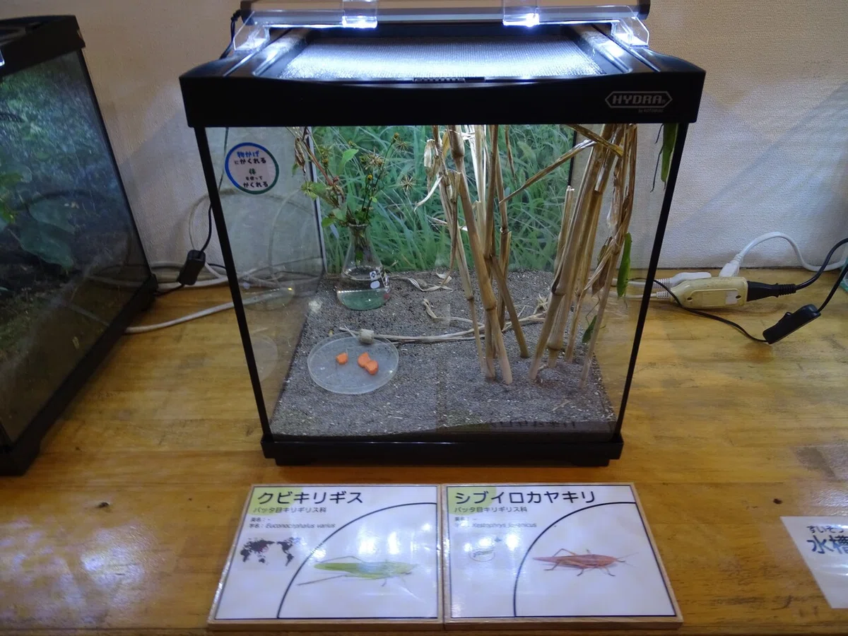 画像199