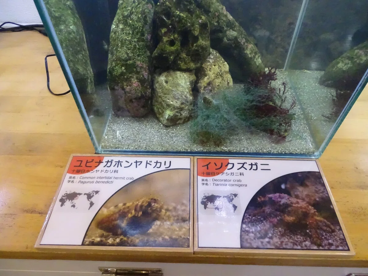 画像189