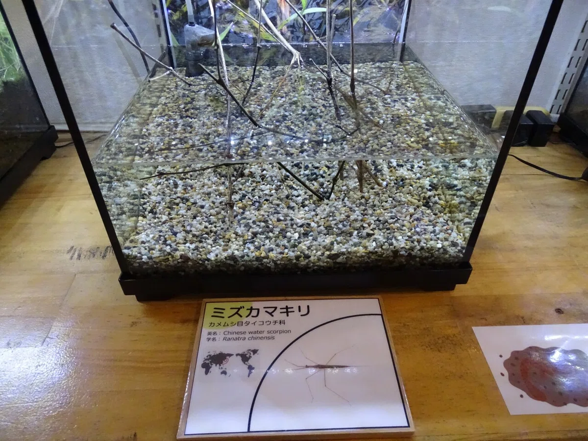 画像195