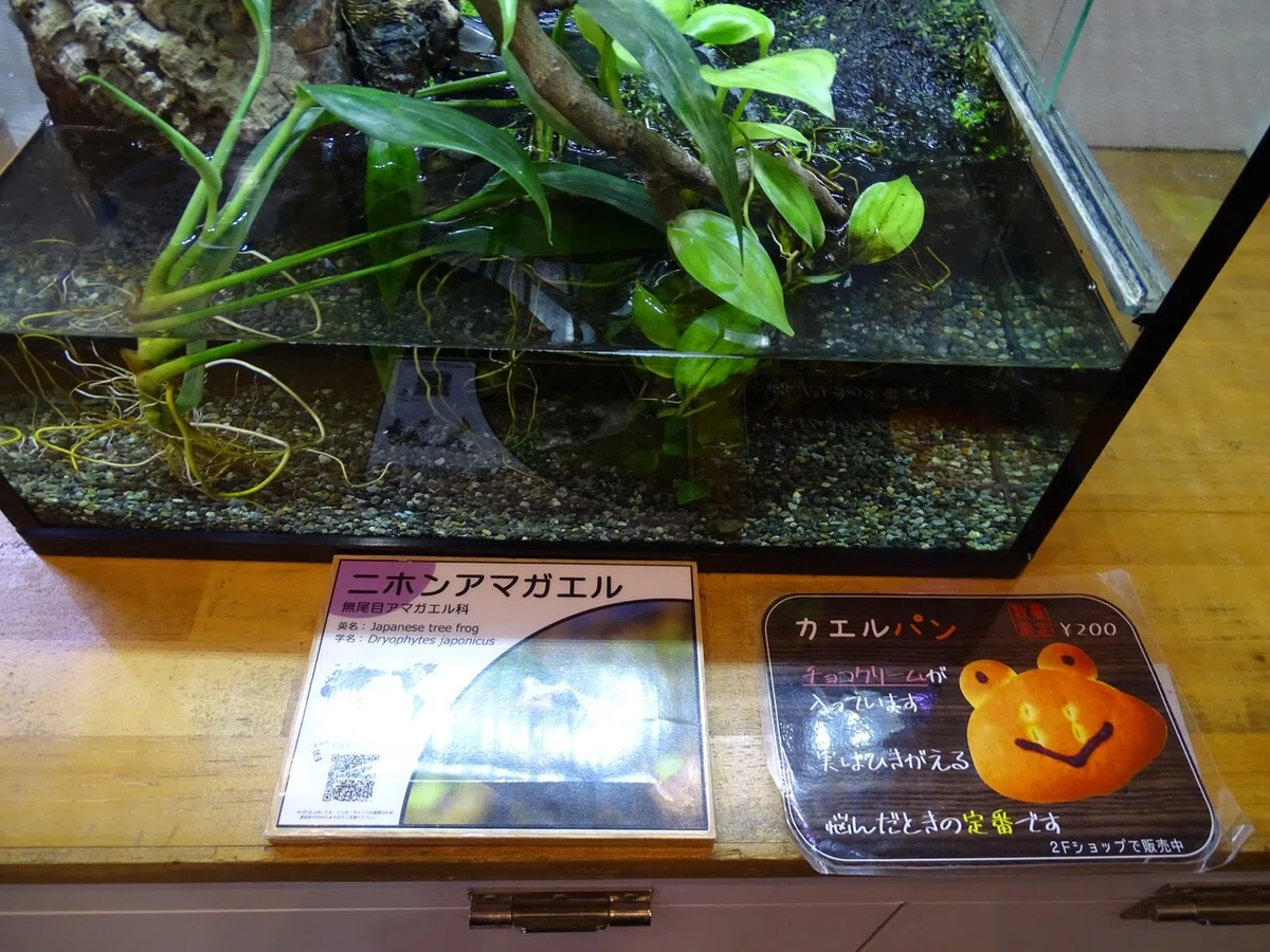 画像200