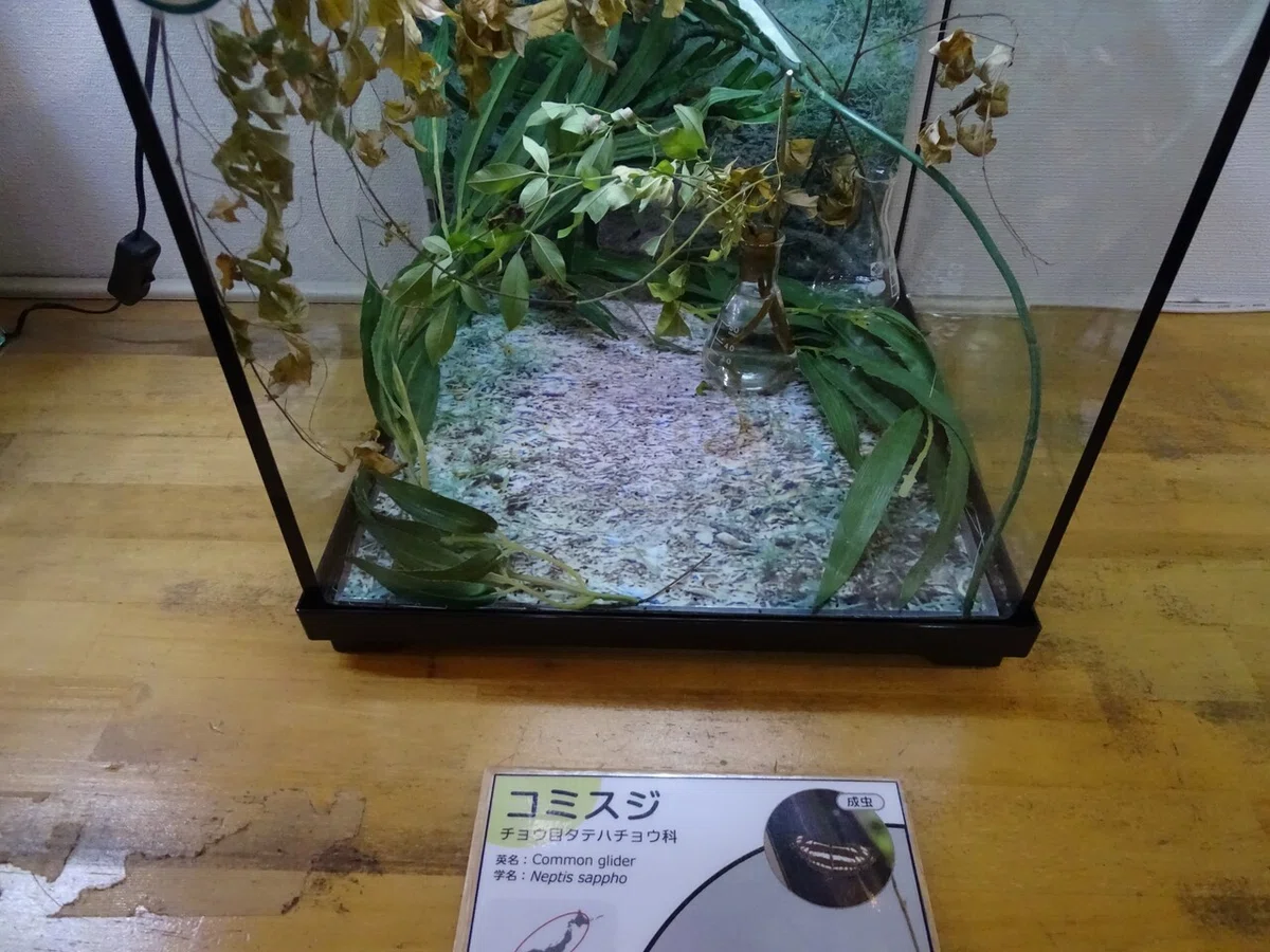 画像190