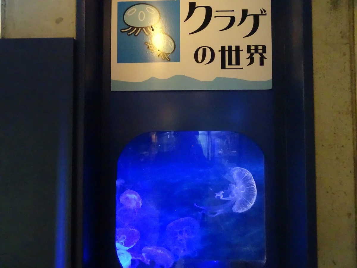 画像221