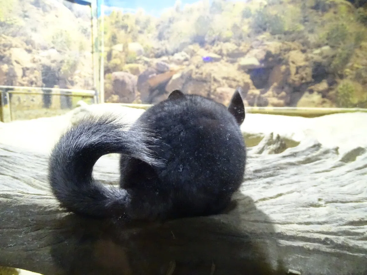 画像217