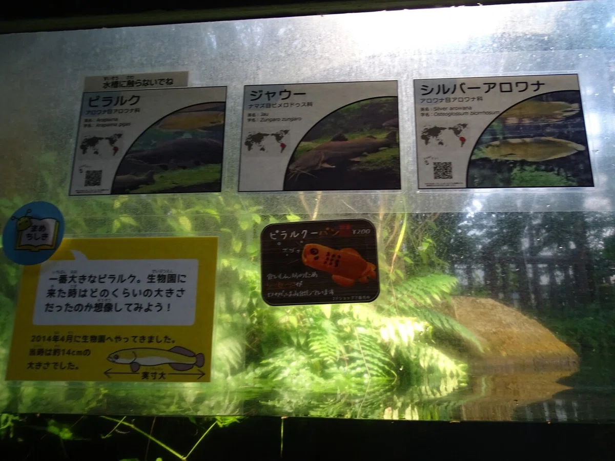画像223
