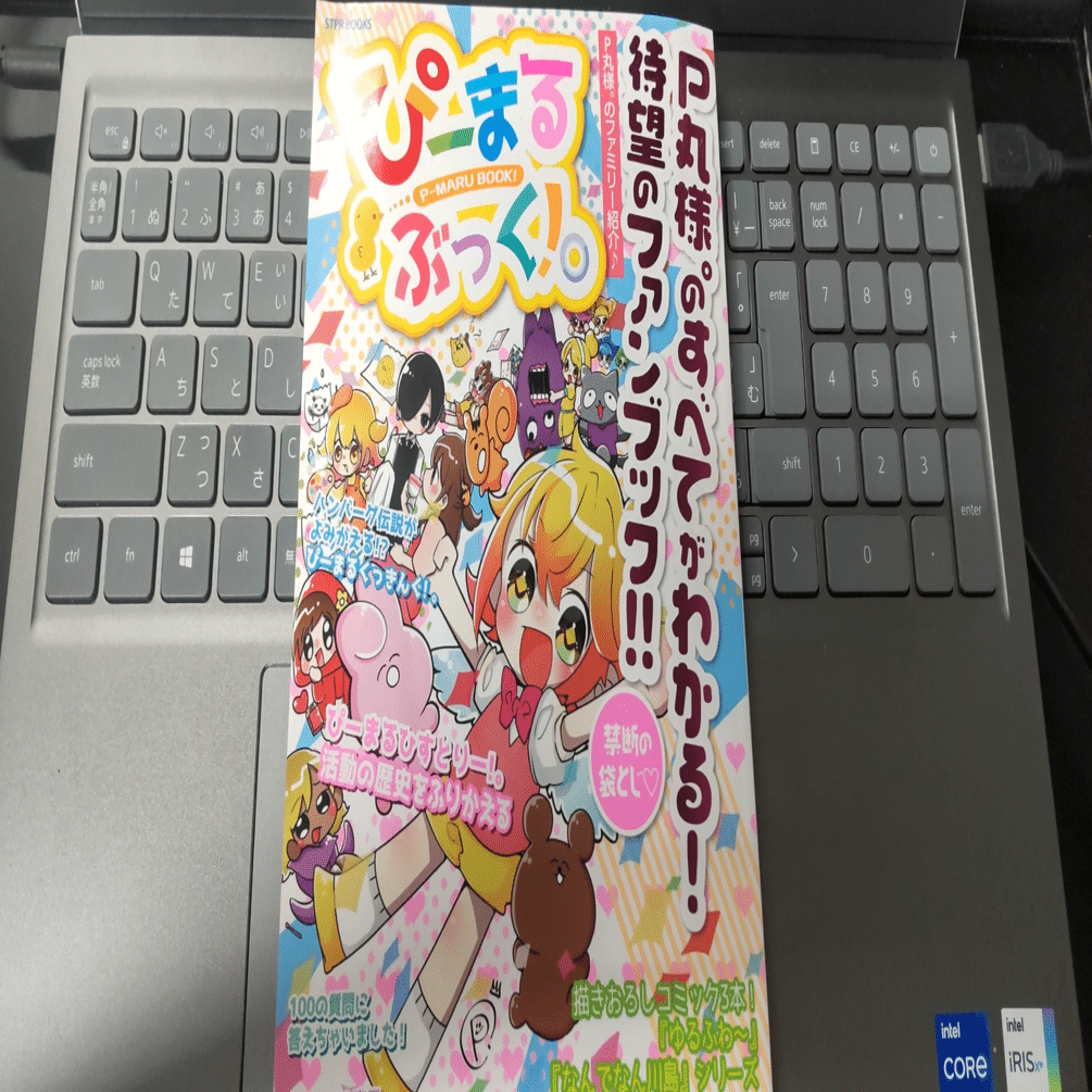 そして誰も『ぴーまるふぁんぶっく！。』を買わなかった――P丸様。と輝  