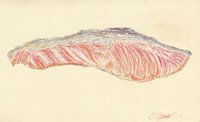 悲しいけどこれ 鮭なのよね なかしぃ卿 ボールペン浮世絵師 Note