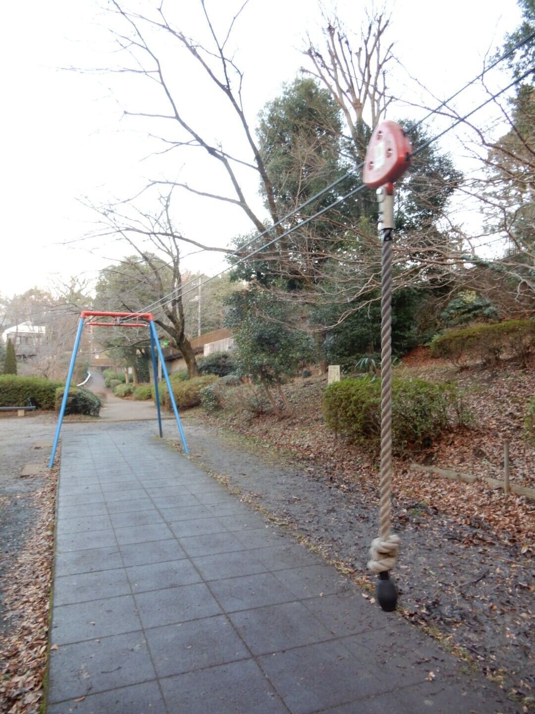 中学生の頃に夢中になって観ていた海外ドラマ アルフ 英会話教室のスタッフに騙され 木の葉丼 について英語で説明をして トランプ元大統領の 演説で大爆笑できるまで英会話にはまった原点がここにある 英 Eazy43 Note 中学生の頃に夢中になって観ていた海外ドラマ アルフ 英会話教室のスタッフに騙され 木の葉丼 について英語で説明をして トランプ元大統領の 演説で大爆笑できるまで英会話にはまった原点がここにある 英 Eazy43 Note