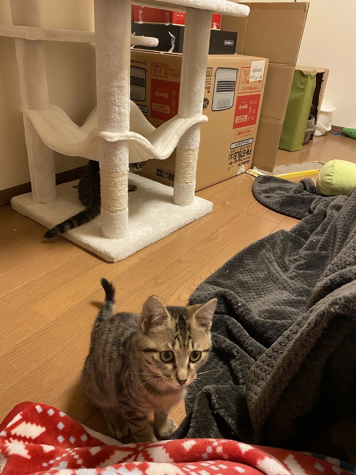 画像4