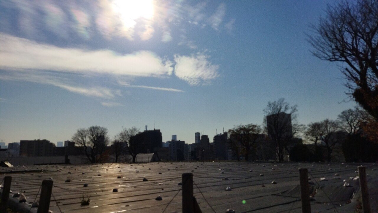 冬の雲 季節の花 Rekaji Note 冬の雲 季節の花 Rekaji Note